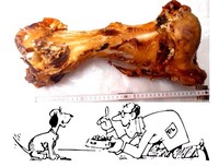 2. Jumboknochen wie Schinkenknochen , Kalbsbein , Pferdebein Rinderlunge