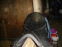 Sattel Kaltbutsattel