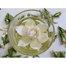 Green Tea & magnolia - 2697 - 2 oz (60 ml) - Premium Fragrance Oil Concentrated