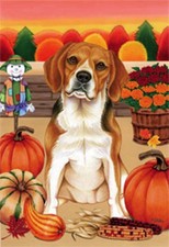 Garden Indoor/Outdoor Autumn Flag - Beagle (Tp) 670071