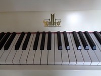Klavier Willis - deutsches Markenklavier - Renner Mechanik - Moderator