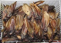 Rinderohr getrocknete Rinderohren mit Muschel Rinder Ohr Ohren Hunde Snack