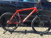 Oracle nectar Sl Carbon, Gr. L