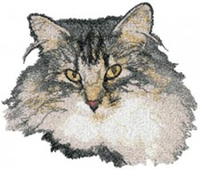 Embroidered Sweatshirt - Norwegian Forest Cat Aed16410 Sizes S - Xxl