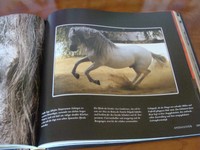 3 Pferdebücher und toller Bildband- wie NEU