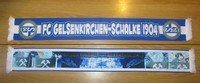 Schalke Seidenschal Schal Gelsenkirchen Schal Nürnberg Trikot Rarität Ultras
