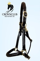 Krokodil Lederhalfter | ausgefallene Optik | robust | Alle Größen | Crownclub 