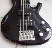 E-Bass 5 String Edelbass