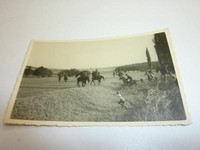 Pferdesport Pferderennen Reitsport Stadion Reittunier um 1935-39 "428"