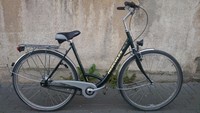 HERCULES UNO X DAMEN CITY-BIKE 7-Gang Nexus Schaltung Detmold
