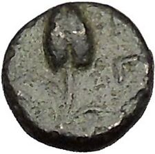 300BC Authentic Ancient Greek City Coin Greek Coin Athena Ear of grain i50563
