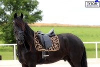 Schabracke Antik Spanisch Barock Braun Schwarz Gold Farben VS DR Dick anatomisch