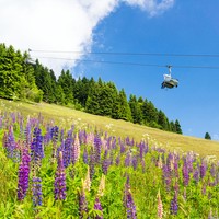 3T Kurzurlaub im Erzgebirge buchen Hotel Schwarzenberg Kurz Reise Sachsen Böhmen