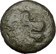 LYSIMACHEIA in THRACE 309BC Lion Grain Ear Authentic Ancient Greek Coin i52012