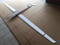 DG 800 von Wildflug Voll-GFK