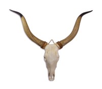 Deko Tier Schädel Longhorn Kopf Skull Wanddeko Geweih 129,5x110 cm XXXL