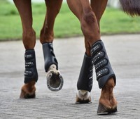 Gamaschen GRAND PRIX CRYSTAL Busse 4er Set Strass schwarz oder weiß VB WB 