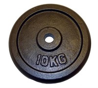 10kg Guss Hantelscheiben Hanteln Hantelgewichte Hantel Scheibe Gewichte 30/31mm