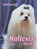 MALTESER HEUTE hundehaltung hundekauf hundeerziehung hundezucht hunde zuchthunde