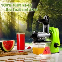 Manuell Saftpresse Fruchtpresse Obstpresse Slow Juicer Zitruspresse Entsafter