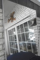 Großer,edler Spiegel von Fortuna Düsseldorf,beleuchtet.