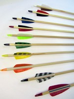 10 Holzpfeile Pfeile Naturfedern 3 Zoll gemischt Sonderartikel