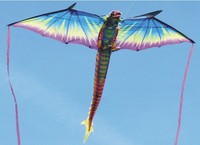 X-Kites 3-D-Drachen Dragon, Kinderdrachen, flugfertig (rtf), neu