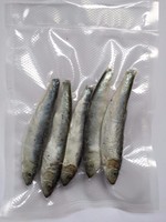 Baltische Strömlinge, Top Köderfische ganz, 5 Stück vakuumiert, tiefgefroren