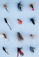 2318611 12. September Esche Moskau Dry Fly Fishing Forellenangeln Craft Deutschl