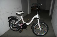Mädchen Fahrrad 16 Zoll sehr gut erhalten