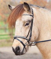 Isand Trense Akranes Isländerzaum Isländertrense Zaum Isländer Strass silber