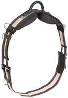 Busse Voltigiergurt /  Longiergurt mit Griff, Gr. Shetty, Pony, WB