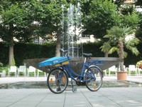 Lastenrad, Bäckerfahrrad, Transportfahrrad, POSTFAHRRAD, 5 Gang SCHMANKERL