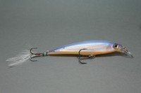 Rapala Wobbler X-Rap 10cm XR10 - SCP Scoop