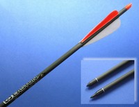 6 Carbon-Pfeile EASTON POWER FLIGHT "NATUR"-Combo