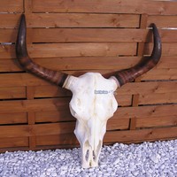 LONGHORN SCHÄDEL WESTERN DEKOFIGUR FIGUR RINDERSCHÄDEL BOSS HOSS DEKORATION NEU
