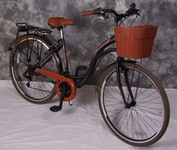 24_ZOLL_MÄDCHENRAD_21-GANG SHIMANOSCHALTUNG_&_LICHT_&_KORB_NEU 2410-300-SCHWARZ