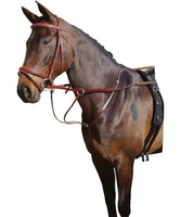 Harrys Horse Martingal