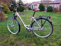 28 Zoll Da City Rad-Gepida Rh 49cm,HS 11 Magura-8 G-Rücktritt-Brooks-nwtg.-Topp