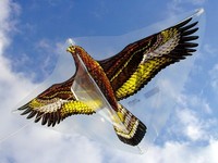 Einleiner: der Günther Steinadler