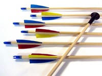 6 Holzpfeile Pfeile Fichte Naturfedern gelb rot blau Saugnapf 