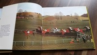 Reitsport in England * Zucht Rennsport Jagden * Bildband Malerei Haddelsey