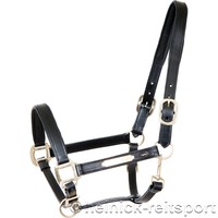 Auktion Heinick ProLine Leder Halfter mit ~ Gravurplatte ~ Vollblut Cob NEU