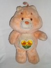 1983 Kenner FRIEND CARE BEAR 13" Plush Flowers Peach Orange Stuffed Toy Vintage