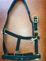 EQuest Halfter mit Lilie schwarz Stallhalfter L'amour mit Swarovskiperle OUTLET