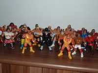 WWF ACTION FIGUREN ! ACTION FIGUR ! FREIE AUSWAHL WRESTLING WWE TNA ! HASBRO !!!