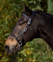 BAREFOOT KOPFSTÜCK SYRINGA SIDEPULL & BITLESS BRIDLE IN SCHWARZ MIT ZÜGEL 4003S