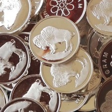 50 X 1 Gram Buffalo .999 Fine Silver Round / Mini Silver Coin S6Re016