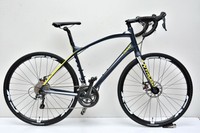 Giant Anyroad 1  2016  in L   für jede Straße