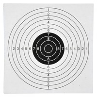 100 Stk. 14x14cm Zielscheiben für Kugelfang Luftgeweht Luftpistole Ziel